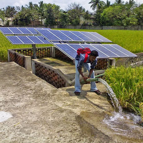 Renewable Energy Farming